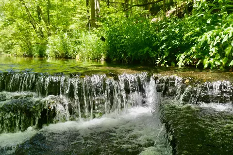 0 Brush Crk, Hohenwald, TN 38462