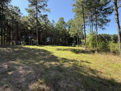 350 Crockett Loop, Jasper, TN 37347 photo 23