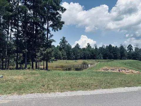 350 Crockett Loop, Jasper, TN 37347 photo 55