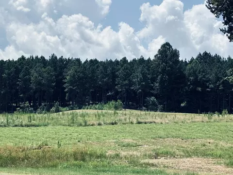 350 Crockett Loop, Jasper, TN 37347 photo 52