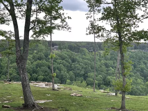350 Crockett Loop, Jasper, TN 37347 photo 53