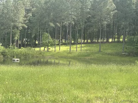 350 Crockett Loop, Jasper, TN 37347 photo 14