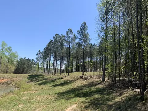 350 Crockett Loop, Jasper, TN 37347 photo 8