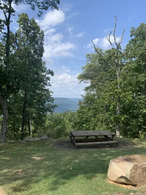 350 Crockett Loop, Jasper, TN 37347 photo 38