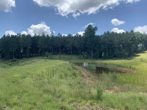 350 Crockett Loop, Jasper, TN 37347 photo 7