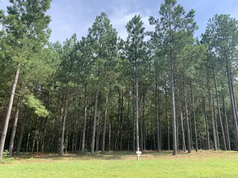 350 Crockett Loop, Jasper, TN 37347 photo 3