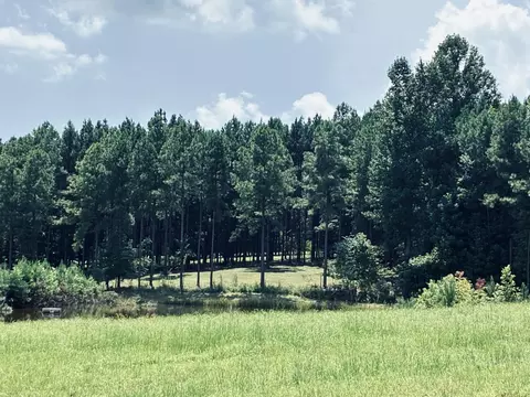 350 Crockett Loop, Jasper, TN 37347 photo 53