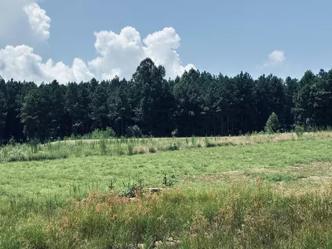 350 Crockett Loop, Jasper, TN 37347 photo 51