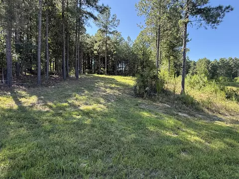 350 Crockett Loop, Jasper, TN 37347 photo 24