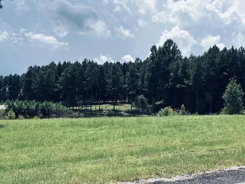 350 Crockett Loop, Jasper, TN 37347 photo 54