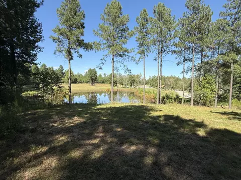 350 Crockett Loop, Jasper, TN 37347 photo 18