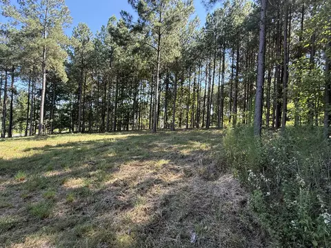 350 Crockett Loop, Jasper, TN 37347 photo 21