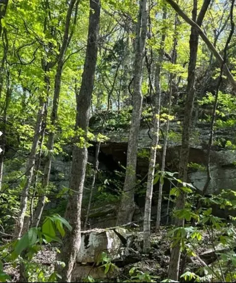 0 Sheep Bluff Rd, Cookeville, TN 38506