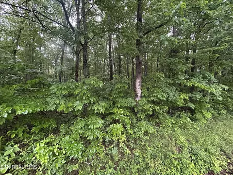 0 Wilder Rd, Clarkrange, TN 38553