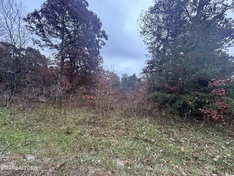 0 Old Collins Tpke, Deer Lodge, TN 37726