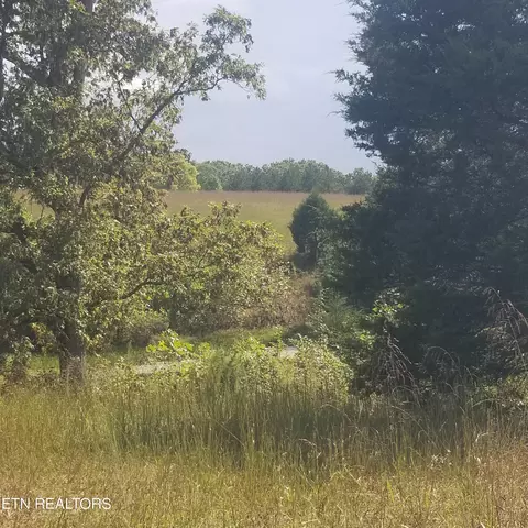 0 High Point Rd, Deer Lodge, TN 37726 photo 26