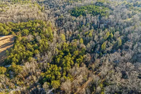 0 High Point Rd, Deer Lodge, TN 37726 photo 19
