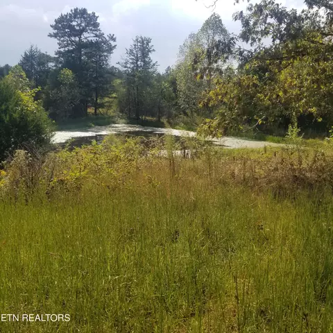 0 High Point Rd, Deer Lodge, TN 37726 photo 31