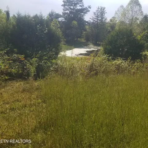0 High Point Rd, Deer Lodge, TN 37726 photo 32