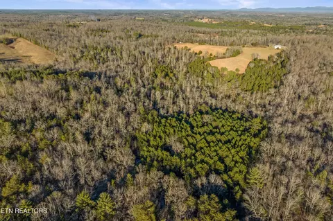 0 High Point Rd, Deer Lodge, TN 37726 photo 15