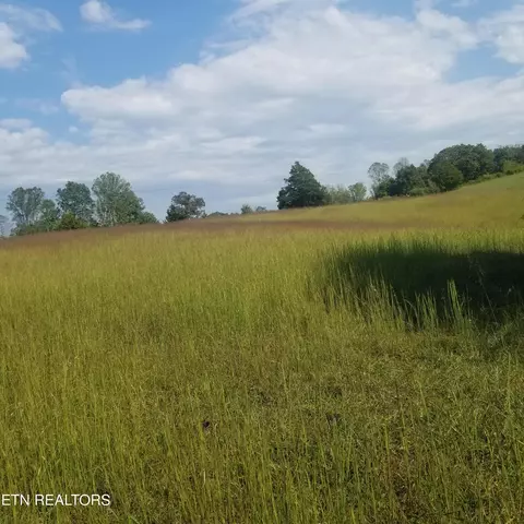 0 High Point Rd, Deer Lodge, TN 37726 photo 30