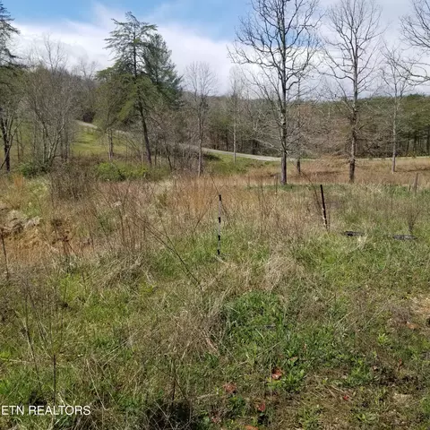230 Abigail Trl, Deer Lodge, TN 37726