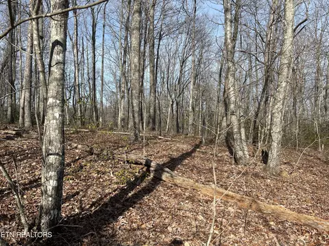 0 Lady Bug Ln, Jamestown, TN 38556