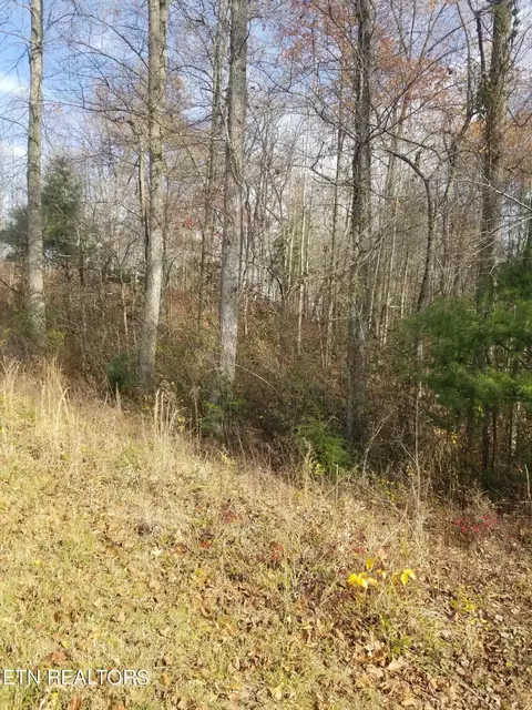 0 Ridge Rd, Lancing, TN 37770