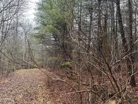 0 Woodland Tr, Sunbright, TN 37872