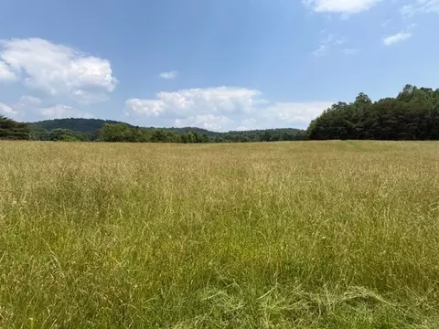 0 Horton Rd, Quebeck, TN 38579 photo 9