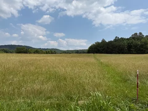 0 Horton Rd, Quebeck, TN 38579 photo 10