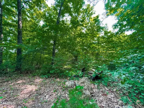 401 Den Ln, Heiskell, TN 37754 photo 9