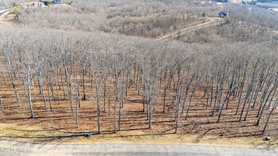  0 Grand Vista Dr, Rockwood, TN 37854 photo 9