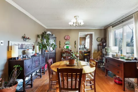 4110 Roberts Rd, Corryton, TN 37721 photo 13