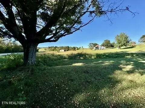 901 Beeler Loop Road Rd, Greenback, TN 37742 photo 3
