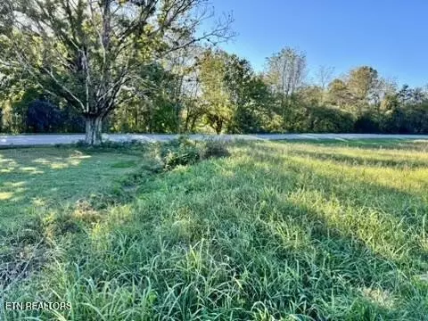901 Beeler Loop Road Rd, Greenback, TN 37742 photo 5