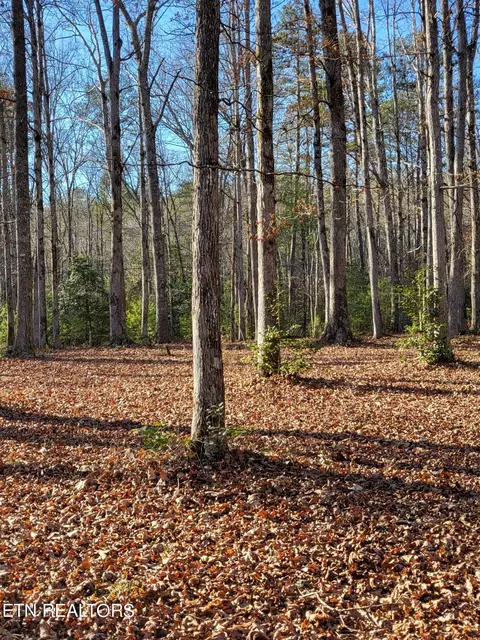 0 Happy Valley Rd, Tallassee, TN 37878