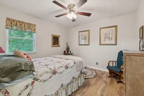 133 Brookside Pt, Springfield, TN 37172 photo 22