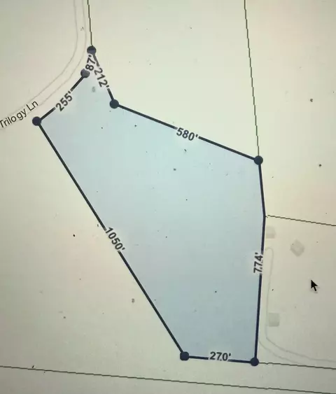 2051 Trilogy Ln, Mount Pleasant, TN 38474