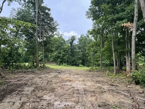 22 Annie Hollow Rd, Westmoreland, TN 37186