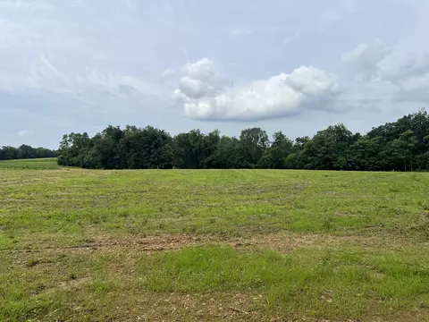 20 Annie Hollow Rd, Westmoreland, TN 37186