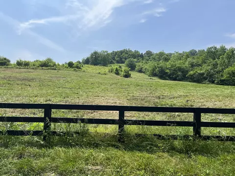 3 Puncheon Camp Rd, Bell Buckle, TN 37020