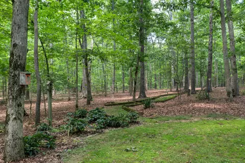 891 Deepwoods Rd, Sewanee, TN 37375 photo 37