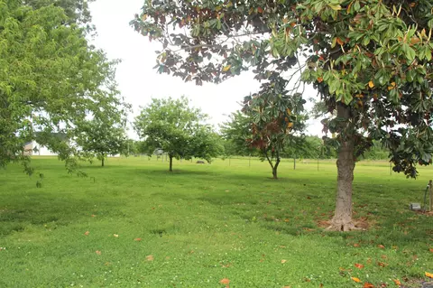 1020 Ferrells Loop Rd, Beechgrove, TN 37018 photo 30