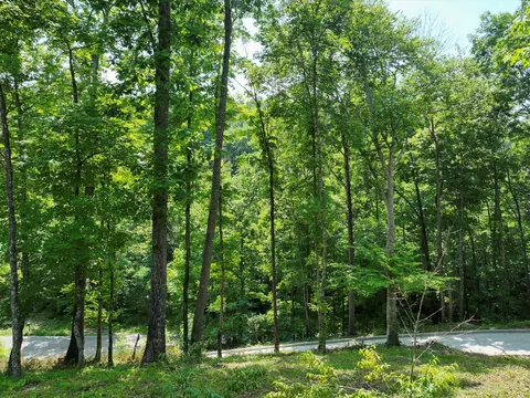 Other - 1288 Rogues Fork Rd, Bethpage, TN 37022 photo 4 of 31