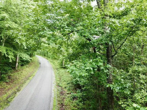 929 Mason Bates Bend Rd, Centerville, TN 37033 photo 6