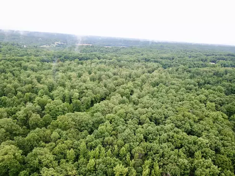 929 Mason Bates Bend Rd, Centerville, TN 37033 photo 8