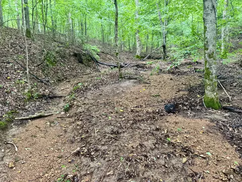 929 Mason Bates Bend Rd, Centerville, TN 37033 photo 10
