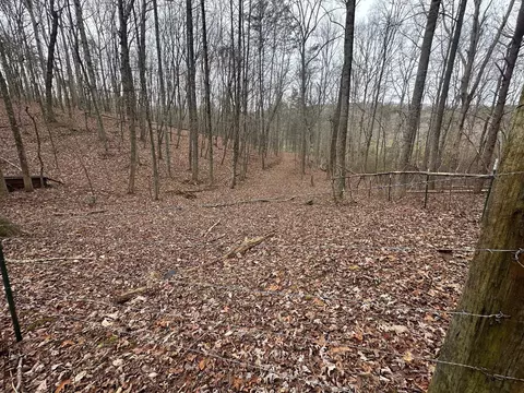 12062 Browns Hollow Rd, Tracy City, TN 37387