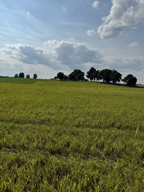 3 Akersville Rd, Lafayette, TN 37083
